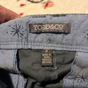 Toad&Co Slim Fit Ankle Pants Size 2